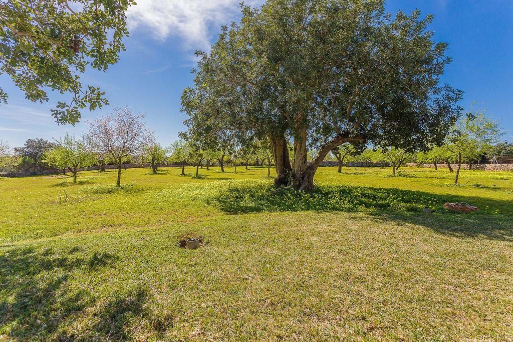 Finca Sa Foradada Cala D'Or Zewnętrze zdjęcie